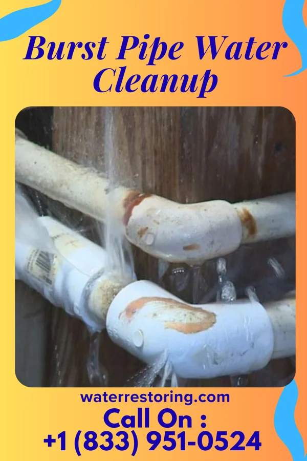 Burst Pipe Water Cleanup in Quitman, MS