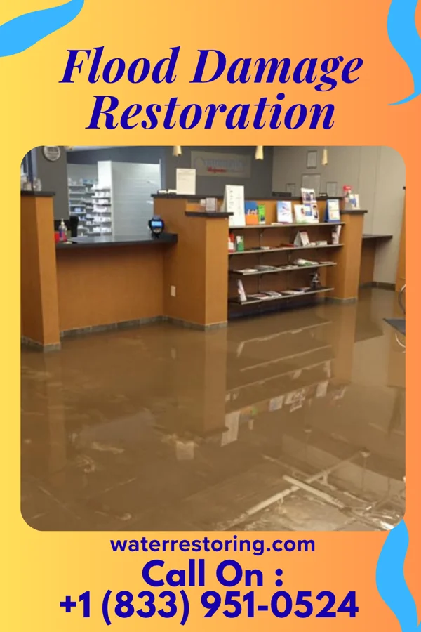 Flood Damage Restoration in Quitman, MS