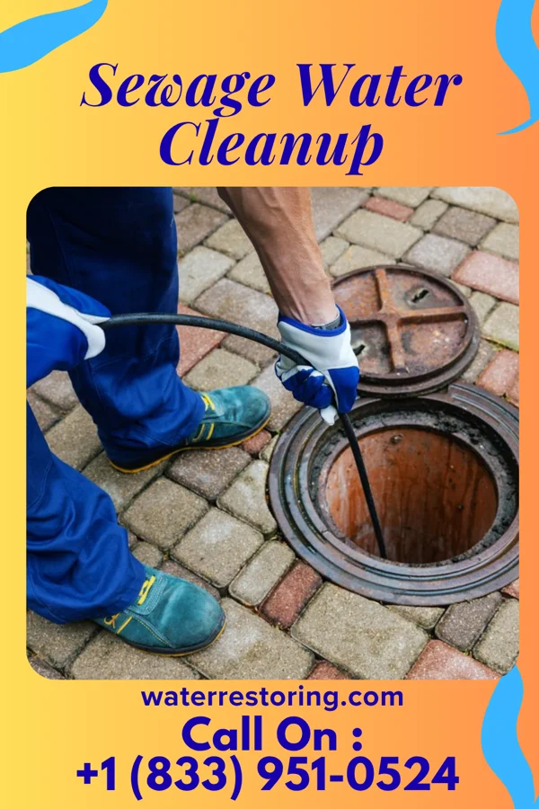 Sewage Water Cleanup in Quitman, MS