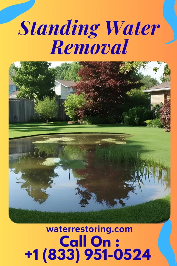 Standing Water Removal in Quitman, MS
